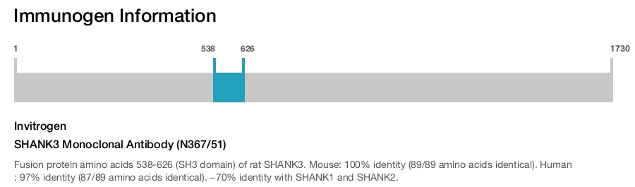 SHANK3 Monoclonal Antibody (N367/51)