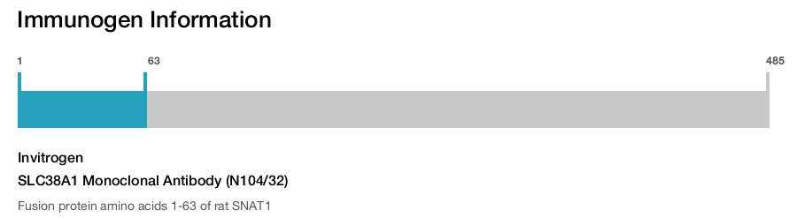SLC38A1 Monoclonal Antibody (N104/32)