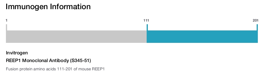 REEP1 Monoclonal Antibody (S345-51)