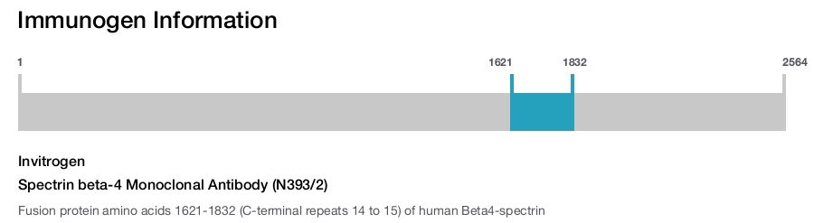 Spectrin beta-4 Monoclonal Antibody (N393/2)