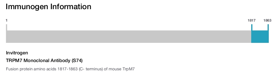 TRPM7 Monoclonal Antibody (S74)