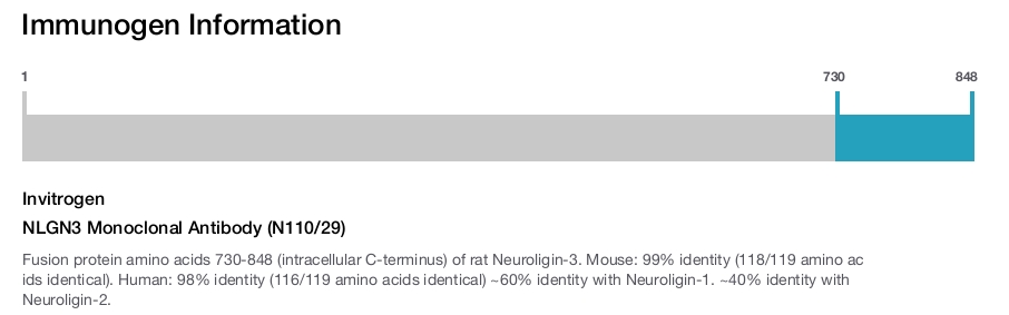 NLGN3 Monoclonal Antibody (N110/29)