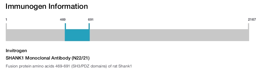 SHANK1 Monoclonal Antibody (N22/21)