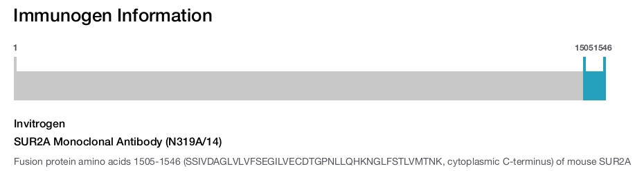 SUR2A Monoclonal Antibody (N319A/14)