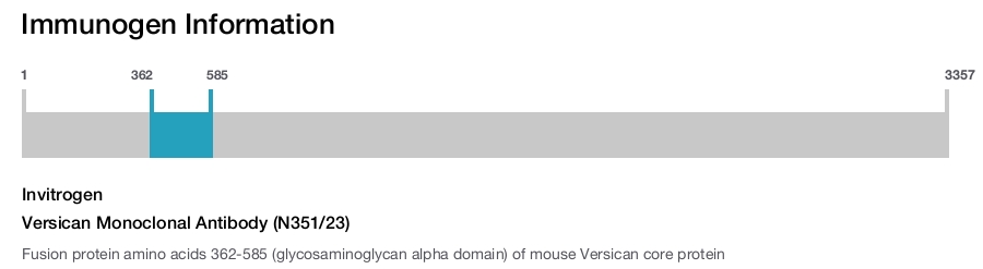 Versican Monoclonal Antibody (N351/23)