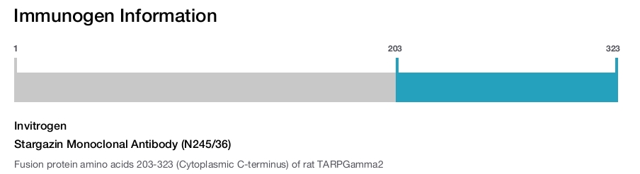 Stargazin Monoclonal Antibody (N245/36)