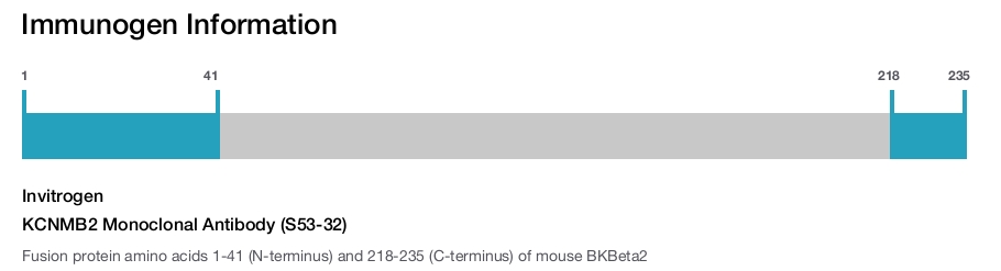 KCNMB2 Monoclonal Antibody (S53-32)
