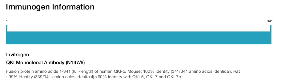 QKI Monoclonal Antibody (N147/6)