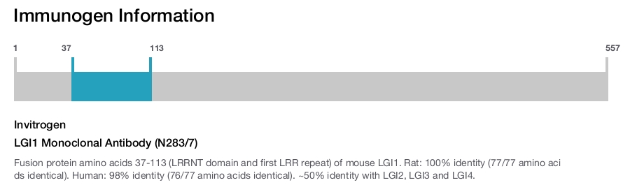 LGI1 Monoclonal Antibody (N283/7)