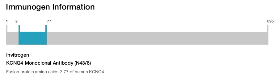 KCNQ4 Monoclonal Antibody (N43/6)