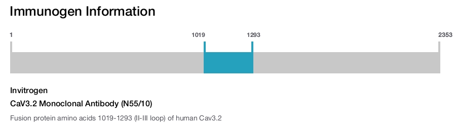 CaV3.2 Monoclonal Antibody (N55/10)