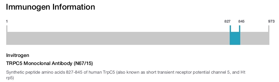 TRPC5 Monoclonal Antibody (N67/15)