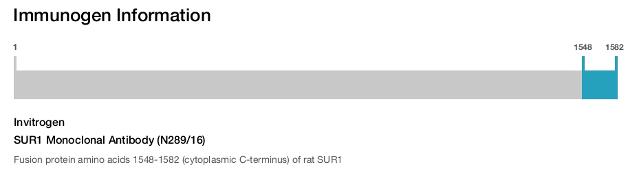 SUR1 Monoclonal Antibody (N289/16)