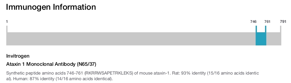 Ataxin 1 Monoclonal Antibody (N65/37)