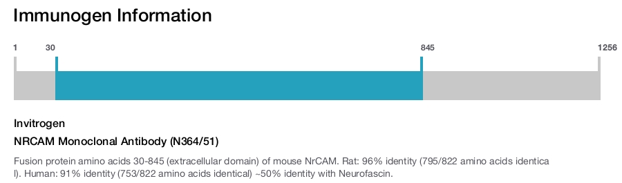 NRCAM Monoclonal Antibody (N364/51)