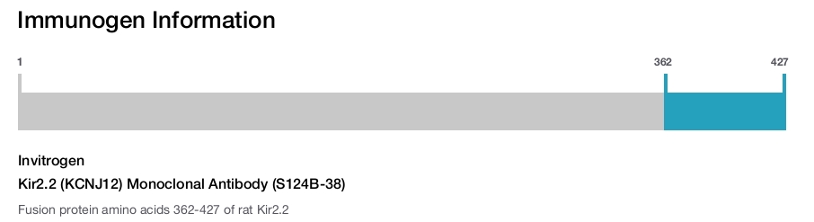 Kir2.2 (KCNJ12) Monoclonal Antibody (S124B-38)