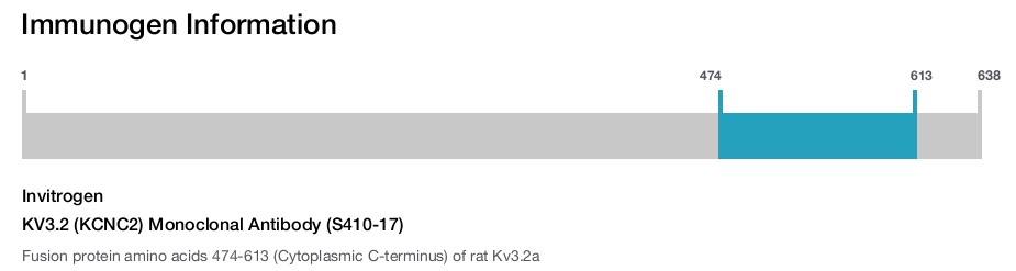 KV3.2 (KCNC2) Monoclonal Antibody (S410-17)