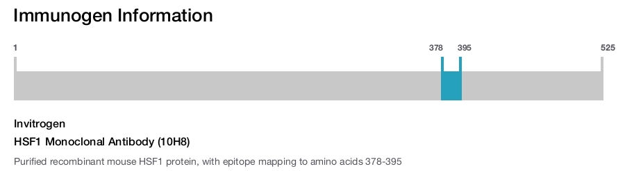 HSF1 Monoclonal Antibody (10H8)
