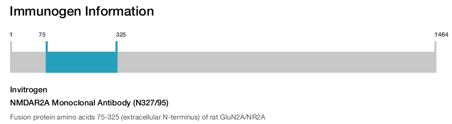NMDAR2A Monoclonal Antibody (N327/95)
