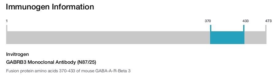 GABRB3 Monoclonal Antibody (N87/25)
