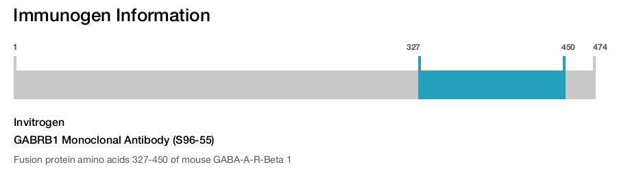GABRB1 Monoclonal Antibody (S96-55)