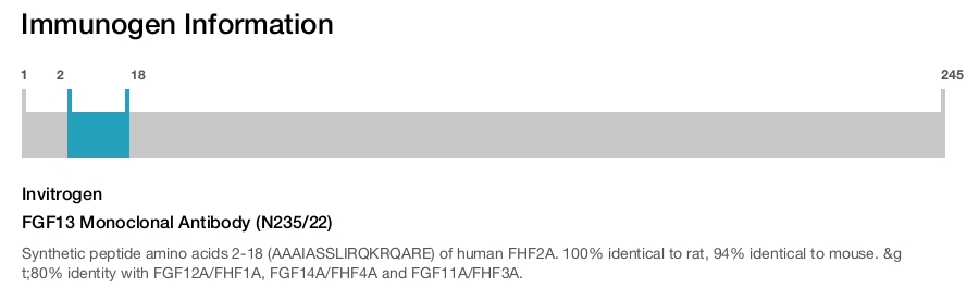 FGF13 Monoclonal Antibody (N235/22)
