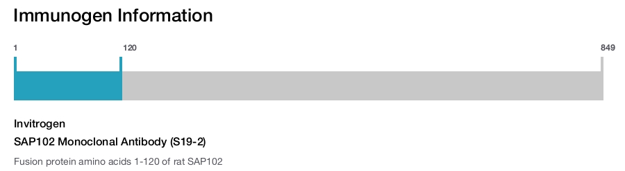 SAP102 Monoclonal Antibody (S19-2)