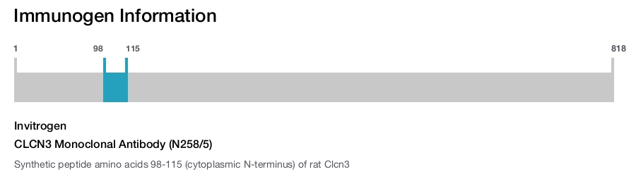 CLCN3 Monoclonal Antibody (N258/5)