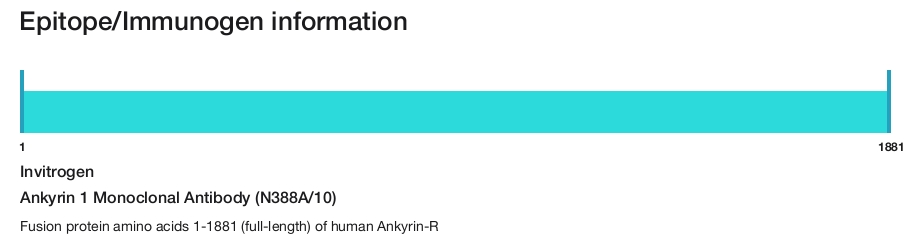 Ankyrin 1 Monoclonal Antibody (N388A/10)