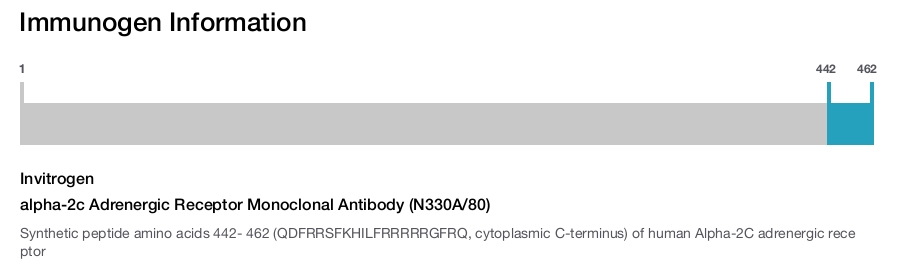 alpha-2c Adrenergic Receptor Monoclonal Antibody (N330A/80)