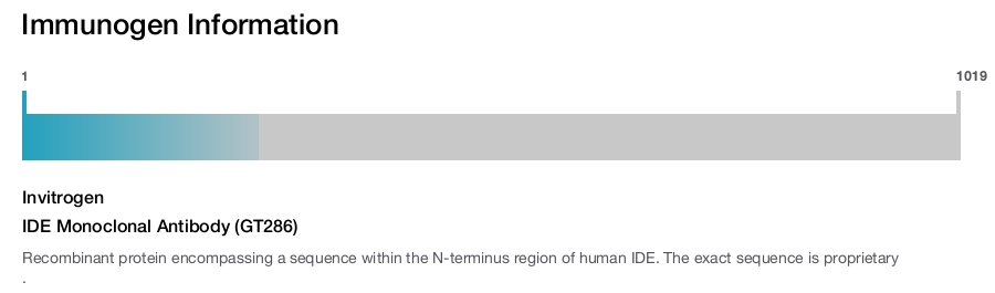IDE Monoclonal Antibody (GT286)
