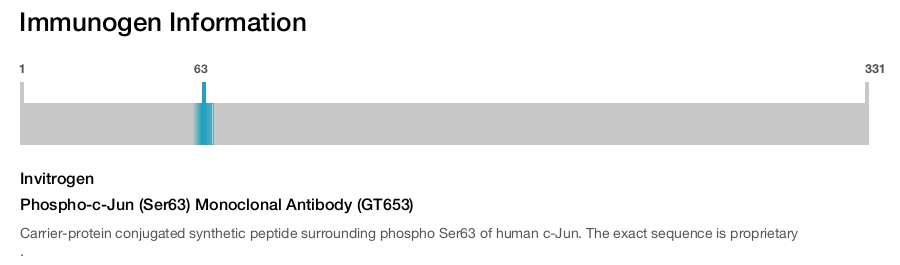 Phospho-c-Jun (Ser63) Monoclonal Antibody (GT653)