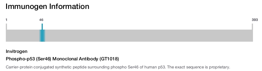 Phospho-p53 (Ser46) Monoclonal Antibody (GT1018)