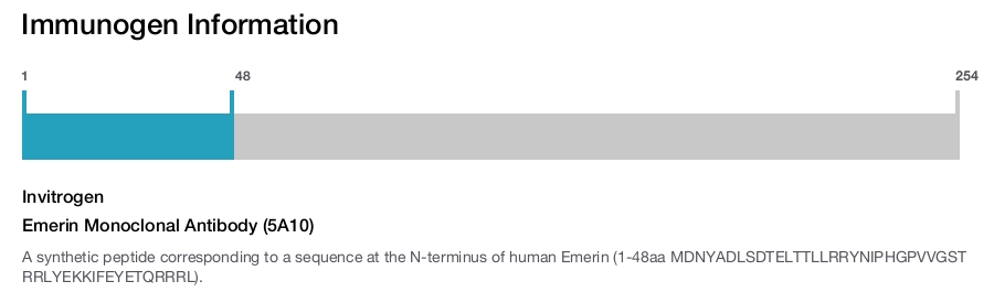 Emerin Monoclonal Antibody (5A10)