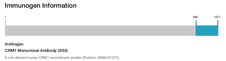 CRM1 Monoclonal Antibody (5G3)