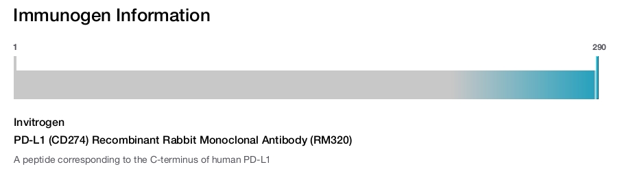 PD-L1 (CD274) Recombinant Rabbit Monoclonal Antibody (RM320)