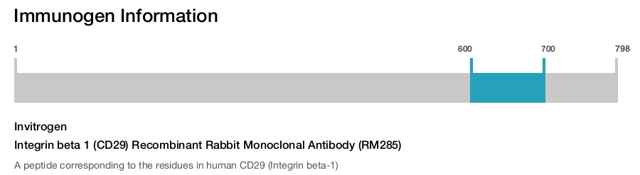 Integrin beta 1 (CD29) Recombinant Rabbit Monoclonal Antibody (RM285)
