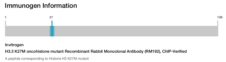 H3.3 K27M oncohistone mutant Recombinant Rabbit Monoclonal Antibody (RM192), ChIP-Verified