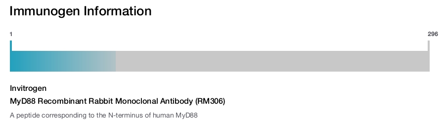 MyD88 Recombinant Rabbit Monoclonal Antibody (RM306)