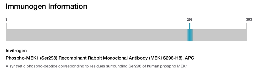 Phospho-MEK1 (Ser298) Recombinant Rabbit Monoclonal Antibody (MEK1S298-H8), APC