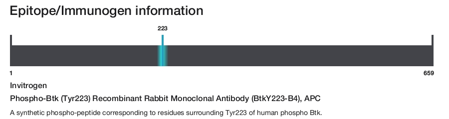 Phospho-Btk (Tyr223) Recombinant Rabbit Monoclonal Antibody (BtkY223-B4), APC