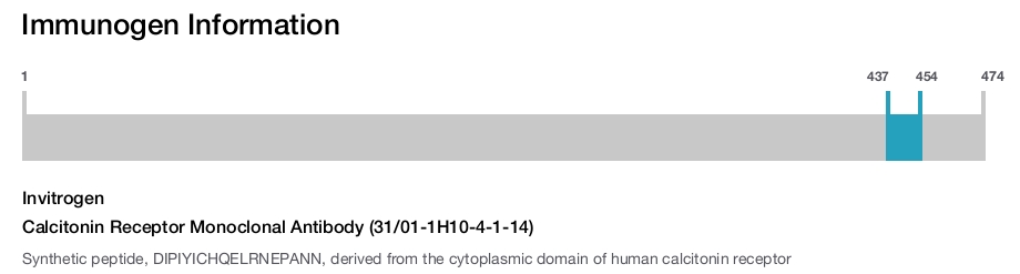 Calcitonin Receptor Monoclonal Antibody (31/01-1H10-4-1-14)