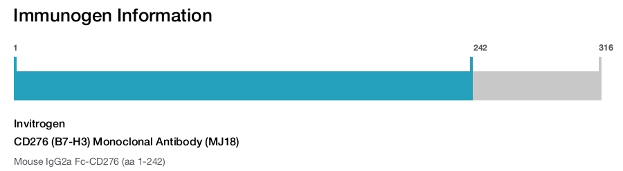 CD276 (B7-H3) Monoclonal Antibody (MJ18)