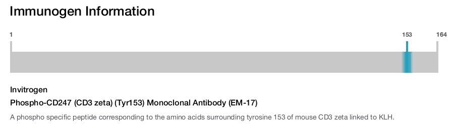 Phospho-CD247 (CD3 zeta) (Tyr153) Monoclonal Antibody (EM-17)