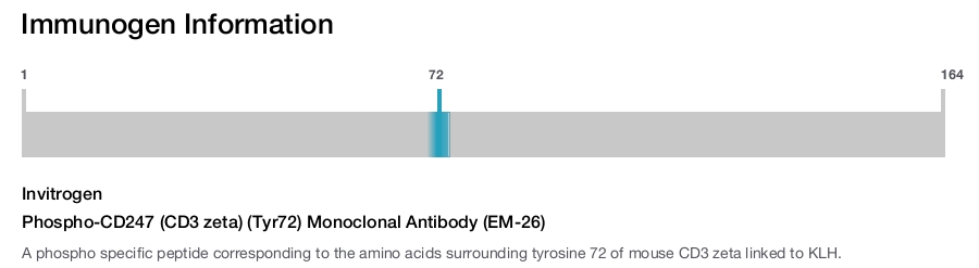 Phospho-CD247 (CD3 zeta) (Tyr72) Monoclonal Antibody (EM-26)