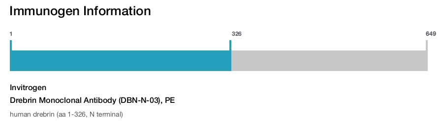 Drebrin Monoclonal Antibody (DBN-N-03), PE