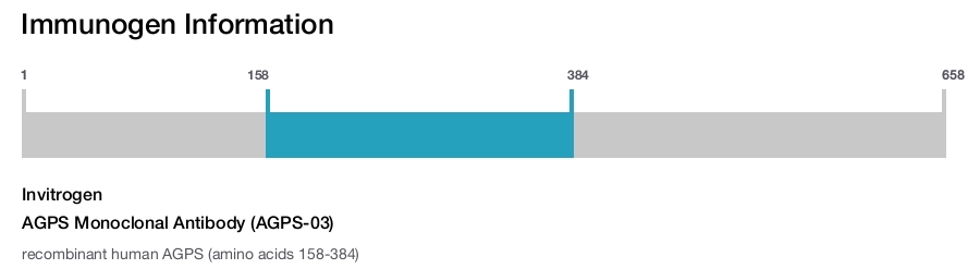 AGPS Monoclonal Antibody (AGPS-03)