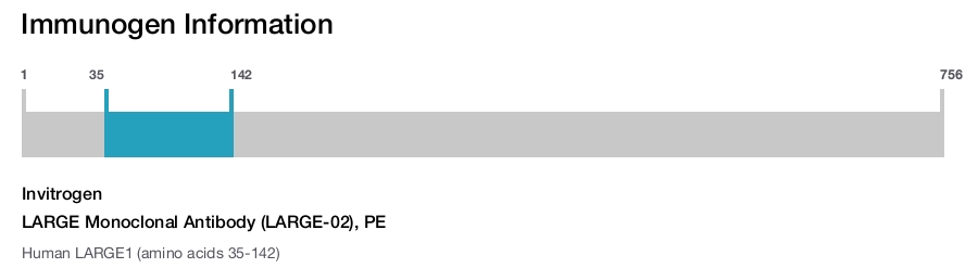 LARGE Monoclonal Antibody (LARGE-02), PE