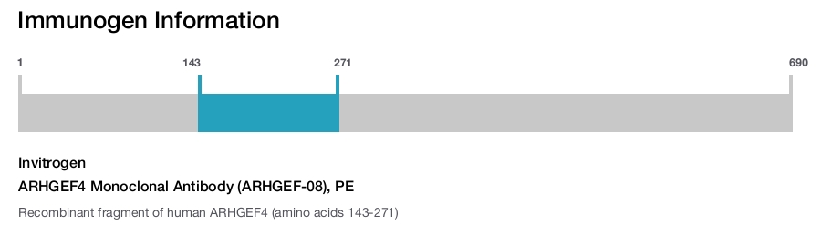 ARHGEF4 Monoclonal Antibody (ARHGEF-08), PE