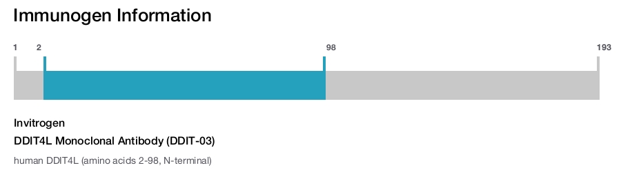 DDIT4L Monoclonal Antibody (DDIT-03)